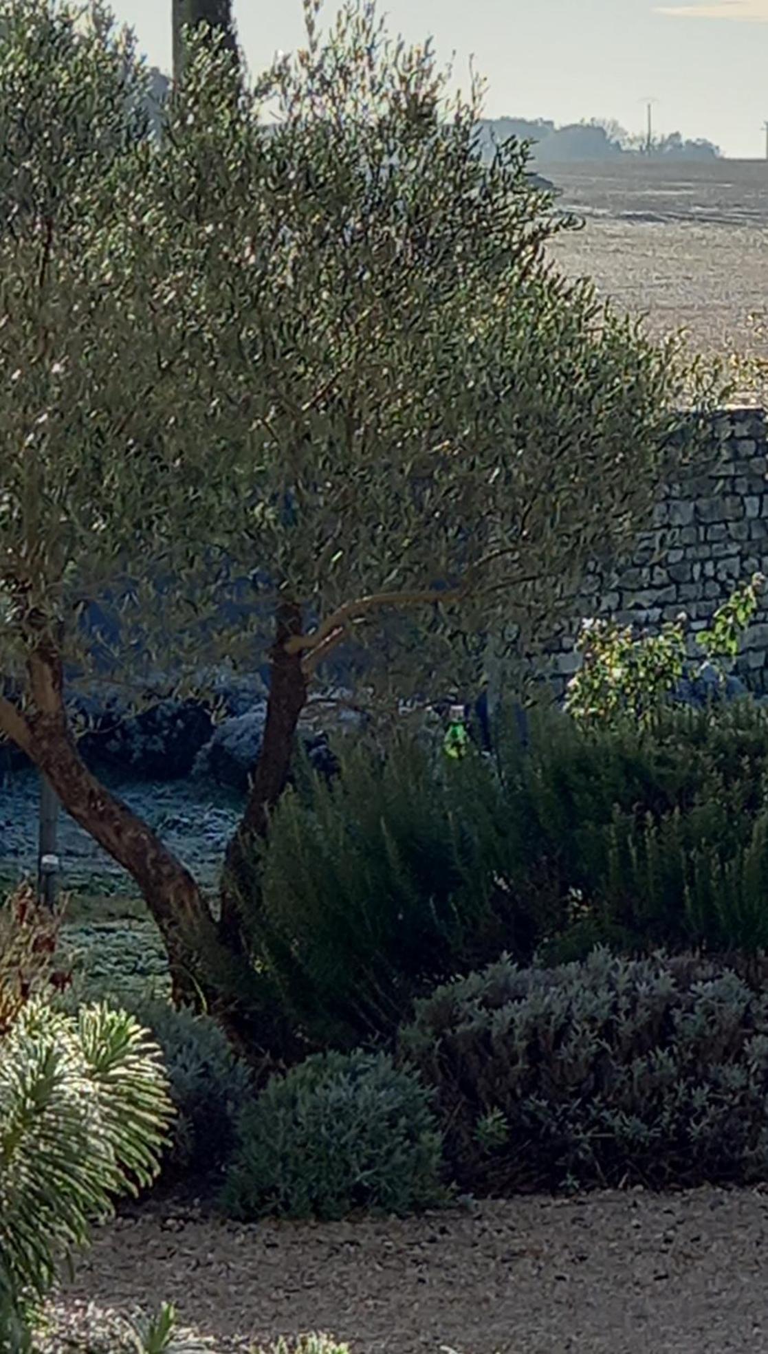La Mesonnetta Bed & Breakfast Soulignonne Exterior photo